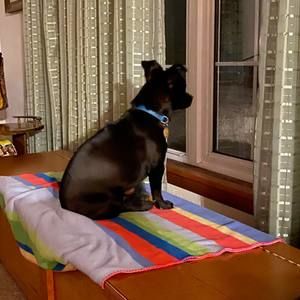 Meet your Posher, Debra dale